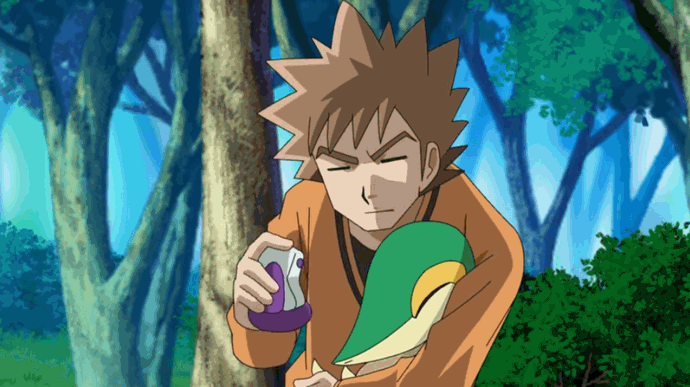 pokemasu010